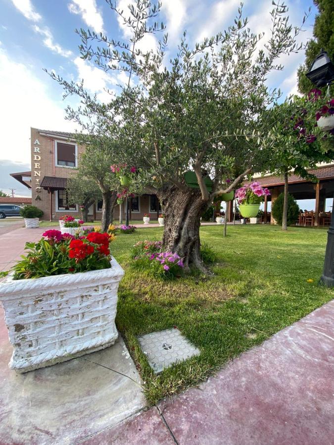 Ardenica Boutique Hotel Lushnjë Dış mekan fotoğraf